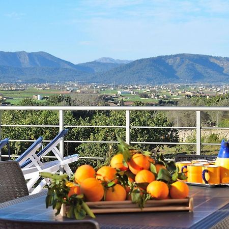 081 Finca Els Tarongers Etv5766 By Mallorca Charme Muro Dış mekan fotoğraf