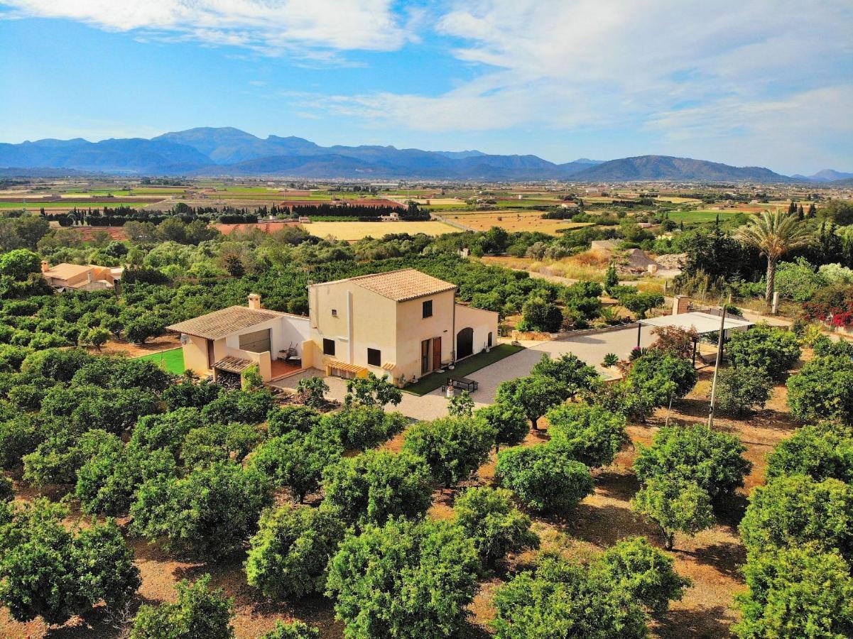 081 Finca Els Tarongers Etv5766 By Mallorca Charme Muro Dış mekan fotoğraf