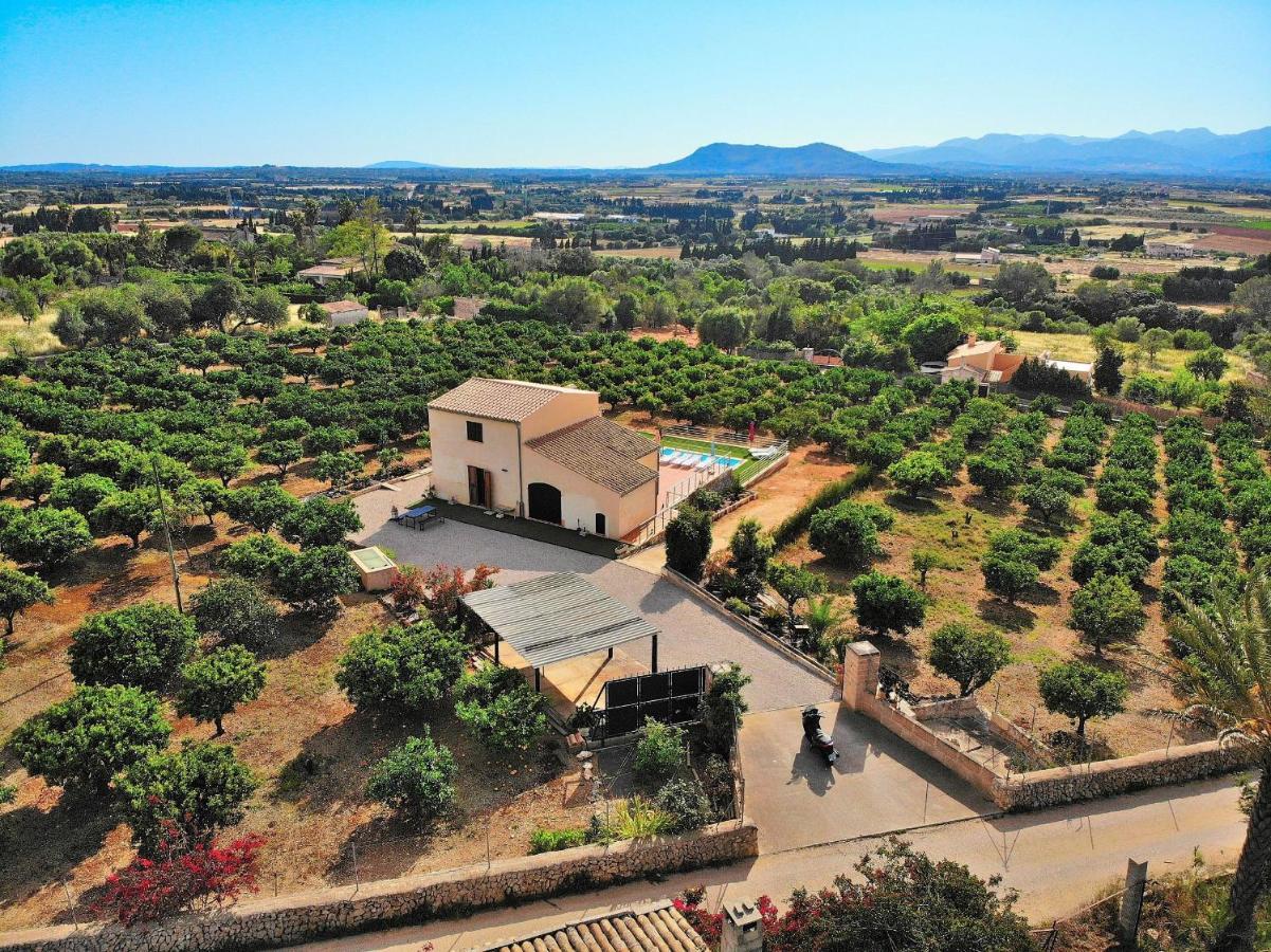 081 Finca Els Tarongers Etv5766 By Mallorca Charme Muro Dış mekan fotoğraf